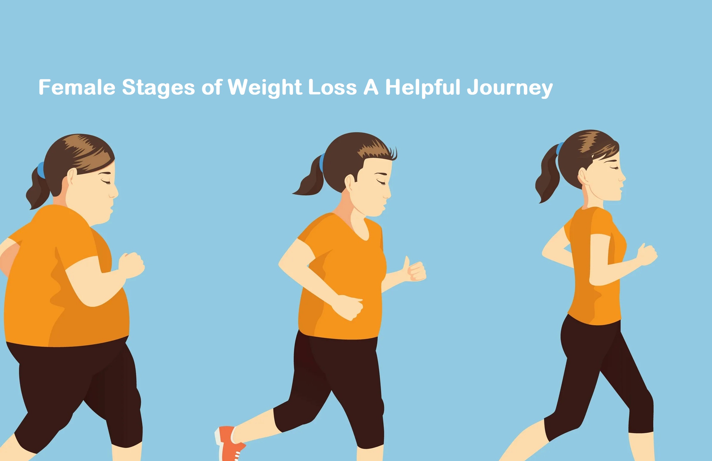 Female Stages of Weight Loss A Helpful Journey